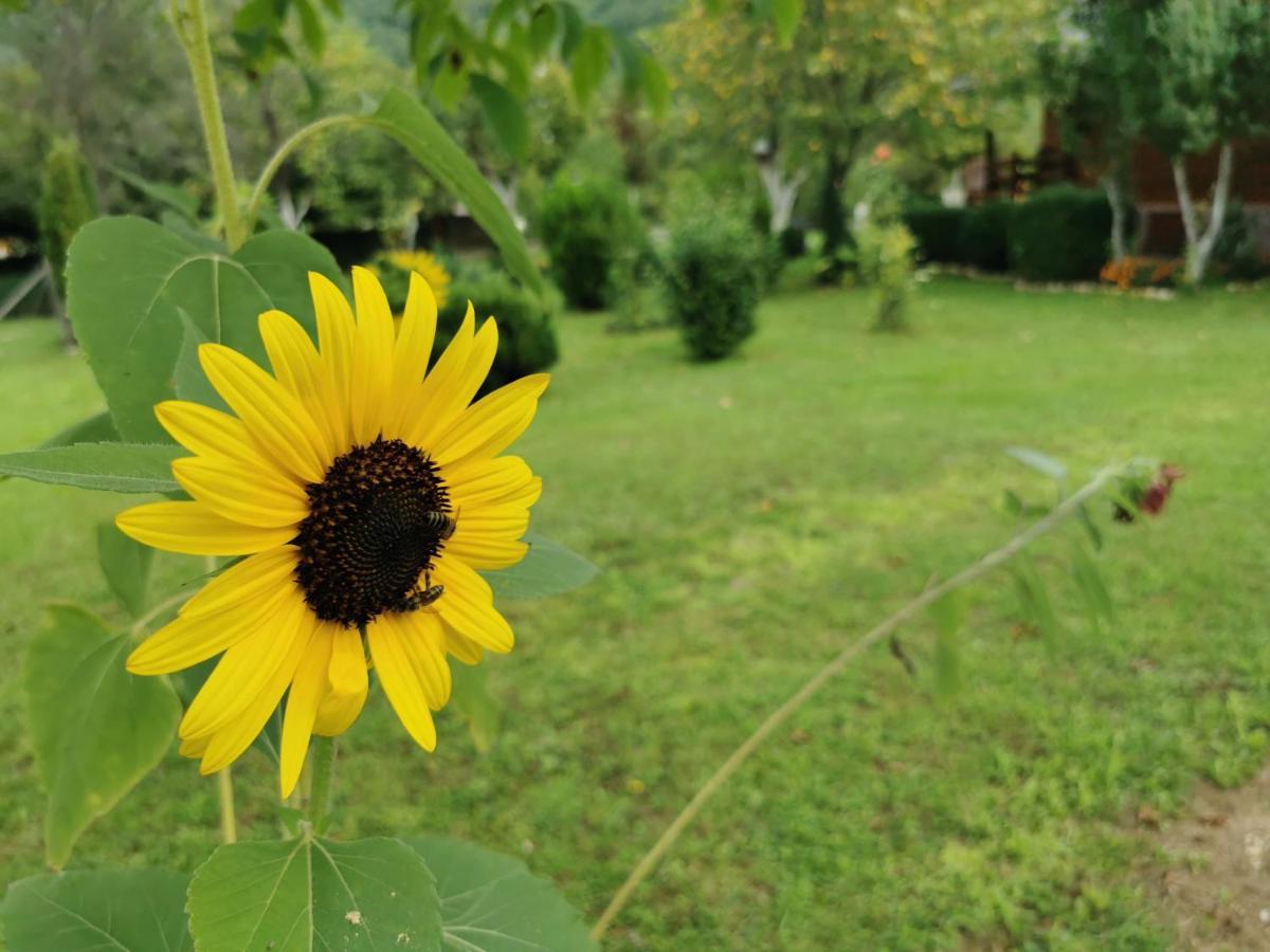 Rest House Ripac Prascijak ภายนอก รูปภาพ